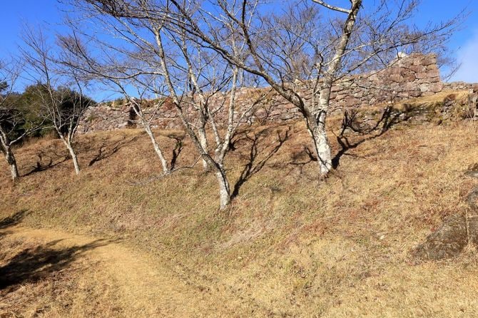 主郭南側の石垣と切岸