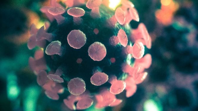 新型コロナウイルスの電子顕微鏡写真