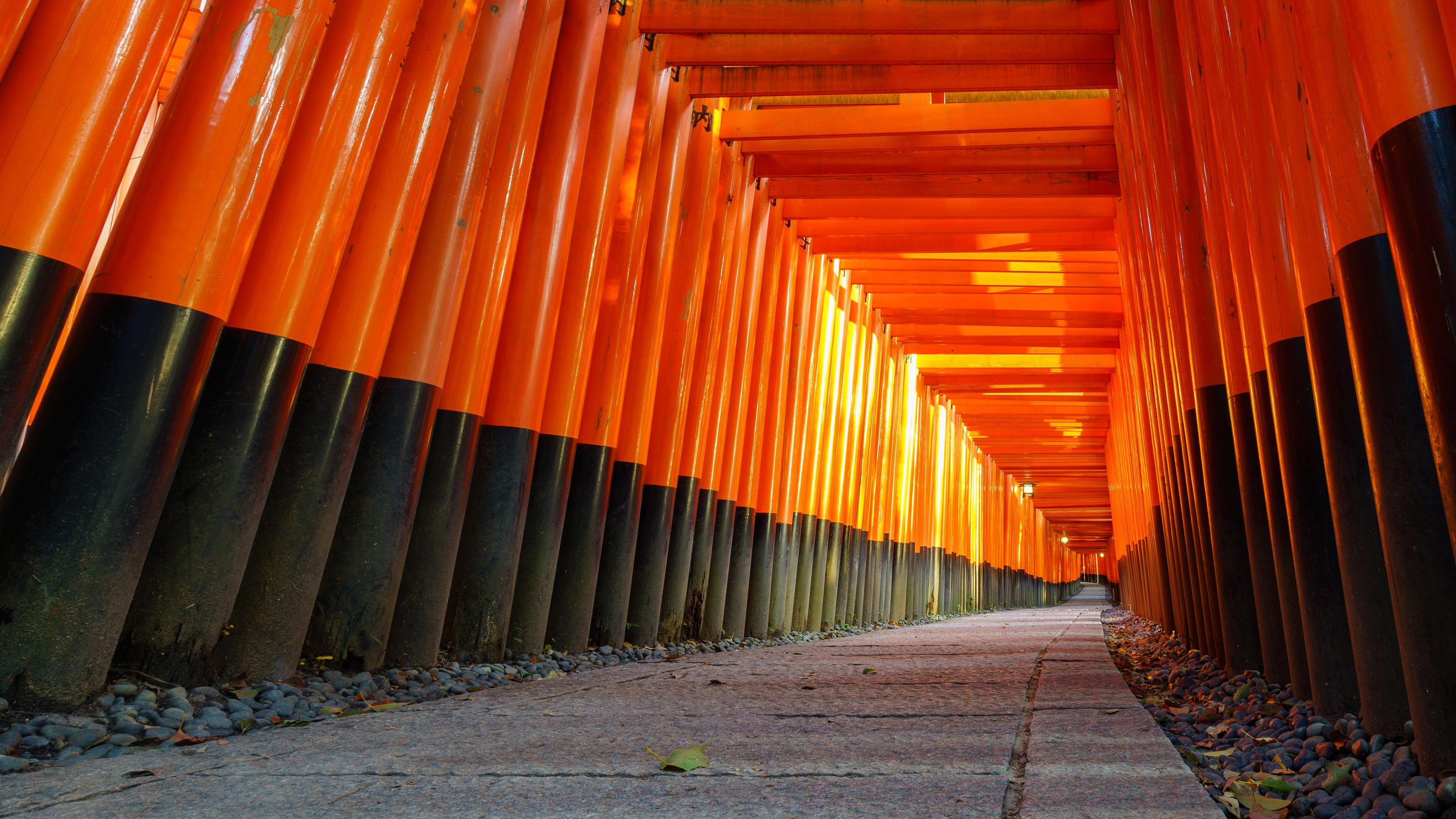 桜井章一 神社で願かけをする人 がいつまでたっても強運に恵まれないワケ ツキのある人が絶対やらないこと President Online プレジデントオンライン