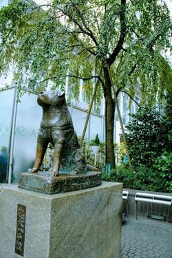 現在のハチの像は2代目