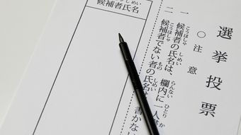 ｢YouTubeを見て投票｣が急増のワケ…選挙に無関心な人が増える裏で躍進する"ネット地盤"の正体