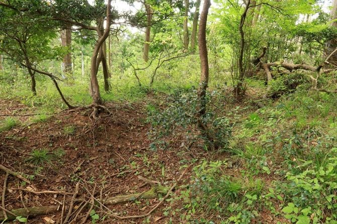大岩山砦の長大な横堀