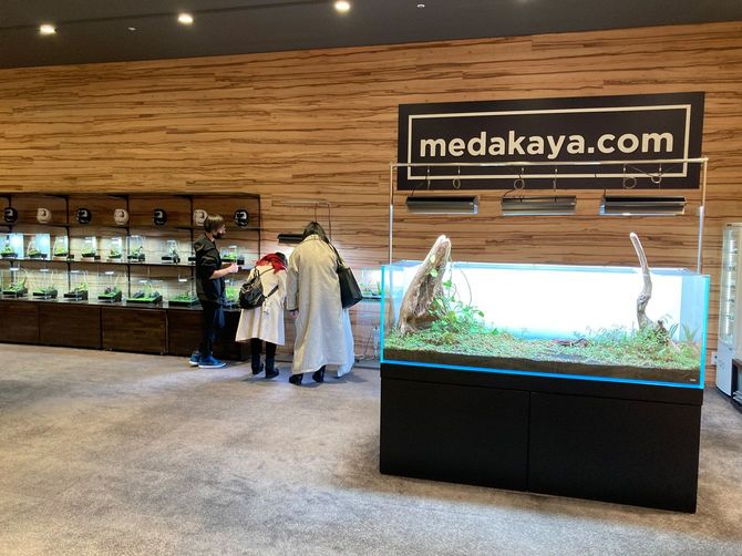 東京・八王子にある「めだかやドットコム」本店。