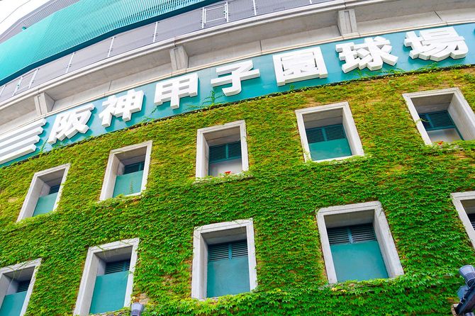 阪神甲子園球場