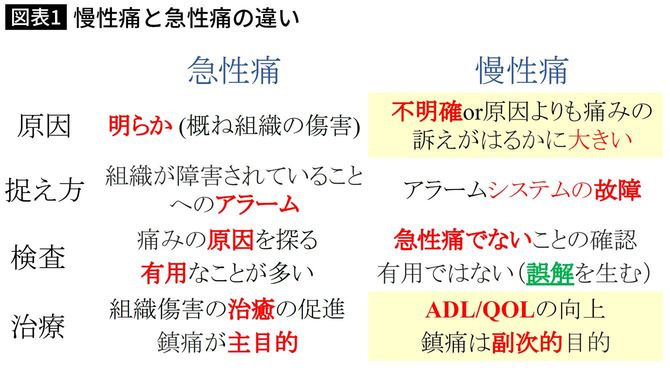 出典＝YouTubeチャンネル「慢性の痛み講座 北原先生の痛み塾」第29回より