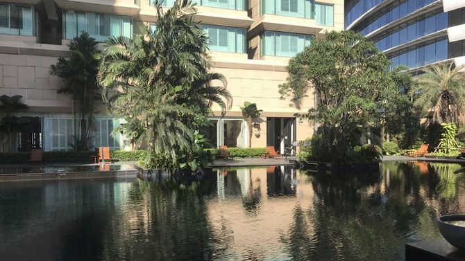 ホテルプールサイドの様子。8日目以降は、ソーシャルディスタンス・マスク着用徹底の上で、散歩が許される。