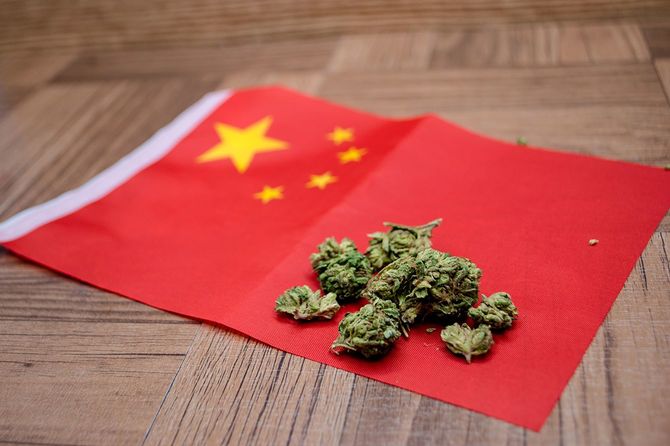 中国の国旗の上に大麻