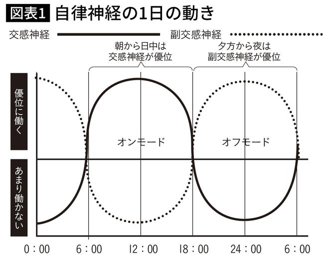 自律神経の1日の動き