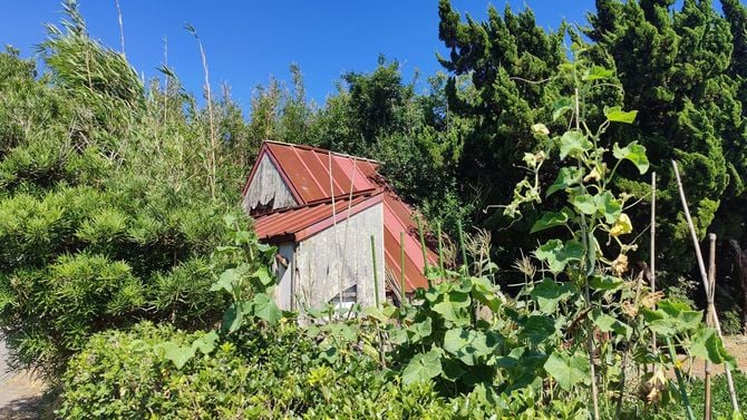 所有者が関心を払わないまま、いつの間にか「負動産」化してしまった放置別荘は数多い。（千葉県匝瑳市）