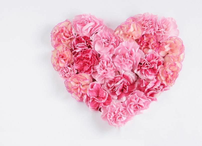 幸福度の要因は"資産"より"昼と夜の営み" 2位会話、3位夕食、1位は？