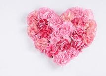 幸福度の要因は"資産"より"昼と夜の営み"