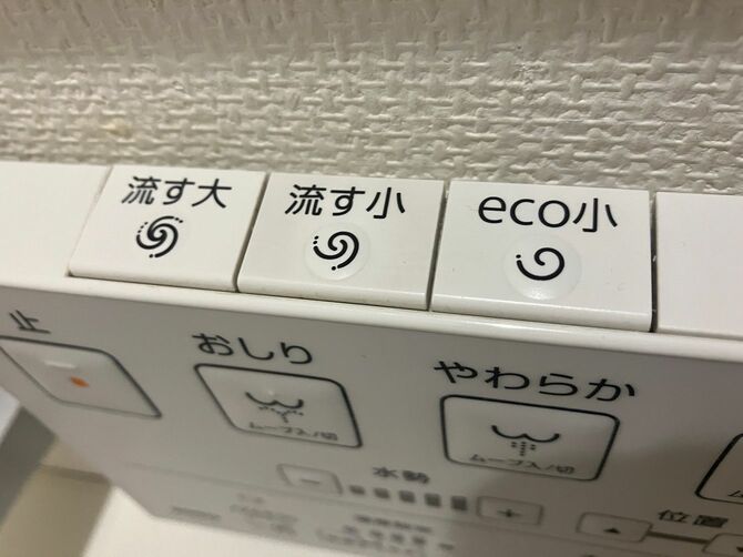 3種の流すボタンがあるリモコン。「eco小」とは？