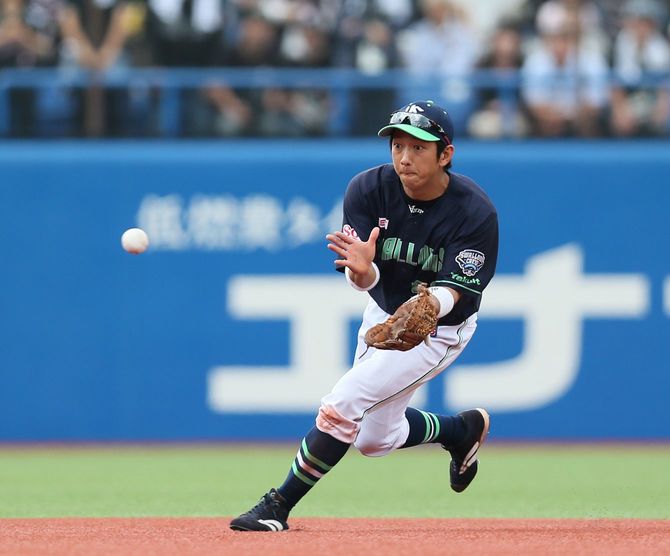ゴロを捕球するヤクルトの遊撃手・今浪隆博=2015年6月6日、神宮球場