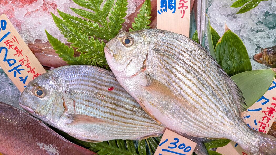 マダイより｢味は上､価格は半分以下｣の鯛がある…元水産庁職員が教える｢お得すぎる魚の食べ方｣ これからの季節､脂がのって最高