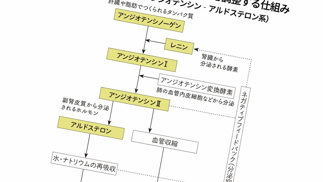 薬なしで｢血圧220→120｣を実現…医師が解説｢高血圧500人の研究で被検者が食べた食事の内容｣