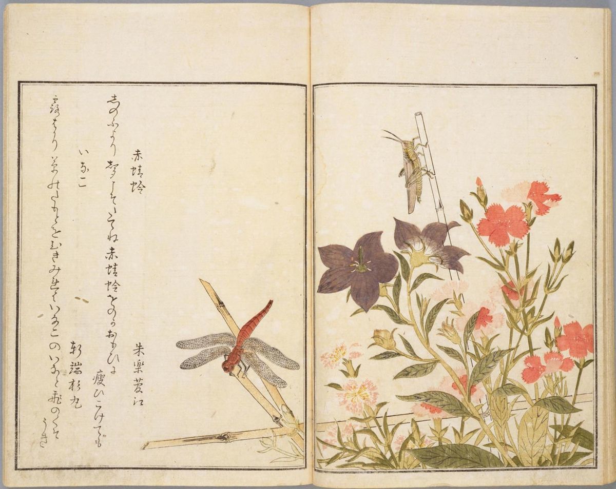 喜多川歌麿画、宿屋飯盛（石川雅望）撰『画本虫ゑらみ』、天明8年（1788）、出典＝国立国会図書館デジタルコレクション