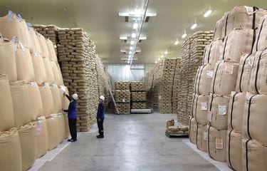 【中古】 コメと農業が危ない 「コメ・農業潰しに黙っていられない」東北集会報告/同友館/坂本進一郎 中古】 コメと農業が危ない 「コメ・農業潰しに黙っていられない