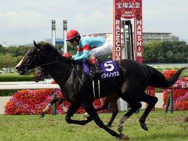 なぜ2年で売り上げが8000億円も増えたのか…競馬市場がコロナ禍を境に絶好調になっているワケ ｢売り方の工夫｣に｢ウマ娘｣が加わって大爆発 |  PRESIDENT Online（プレジデントオンライン）