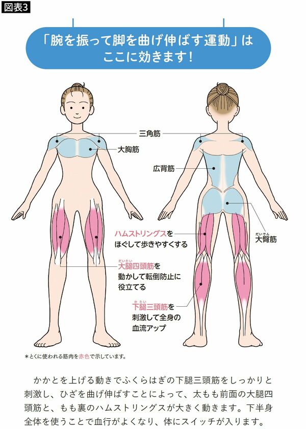 【図表3】下半身の筋肉全体を使うため、さまざまな健康効果が期待できる