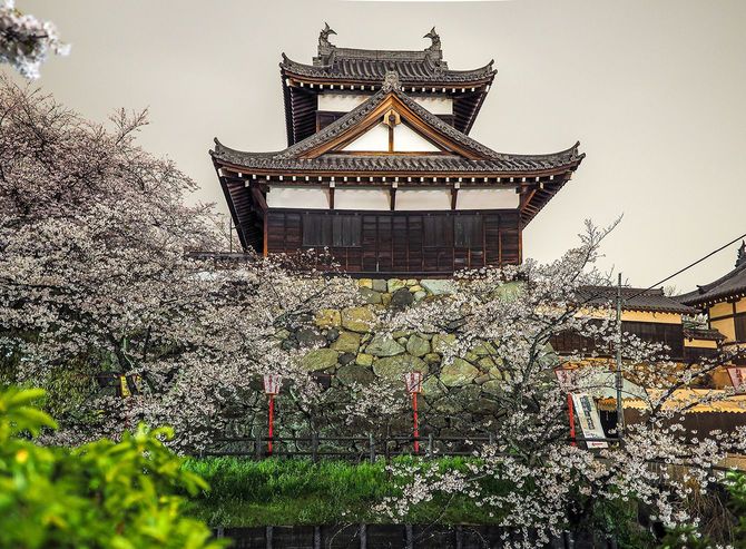 秀長の居城だった郡山城、奈良県大和郡山市、2017年