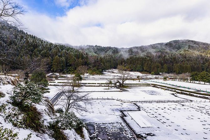 うっすらと雪が積もった背景に山がある景色