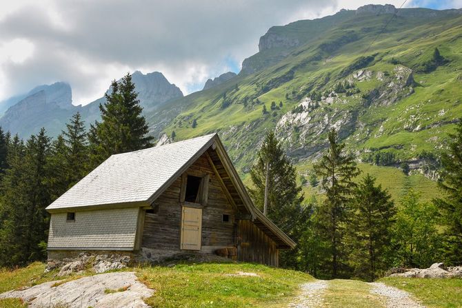 山の中の木造キャビン
