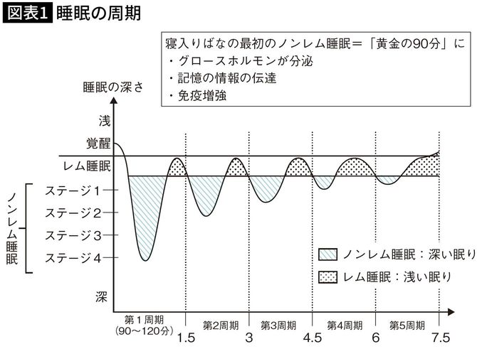 【図表】睡眠の周期