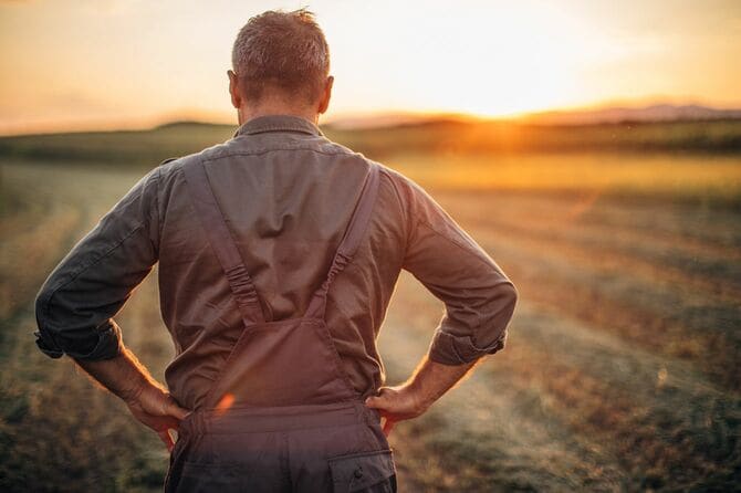 収穫後の夕焼け