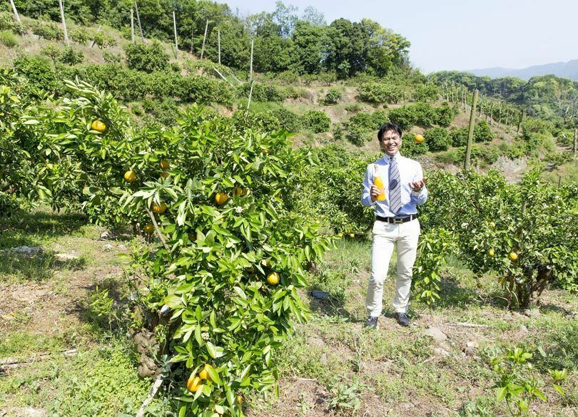 「奇跡のみかん農園」1キロ10円のみかんを240倍で売る秘密