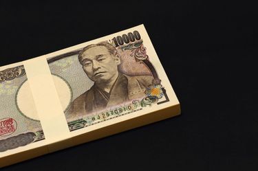 1万円札は諭吉先生でないと日本経済に大損失｣慶應OBOGが恨み骨髄の渋沢