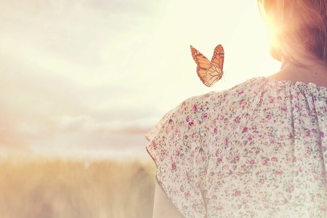 少女の肩に乗る蝶