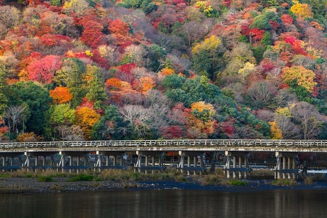 Autumn in Kyoto Arashiyama