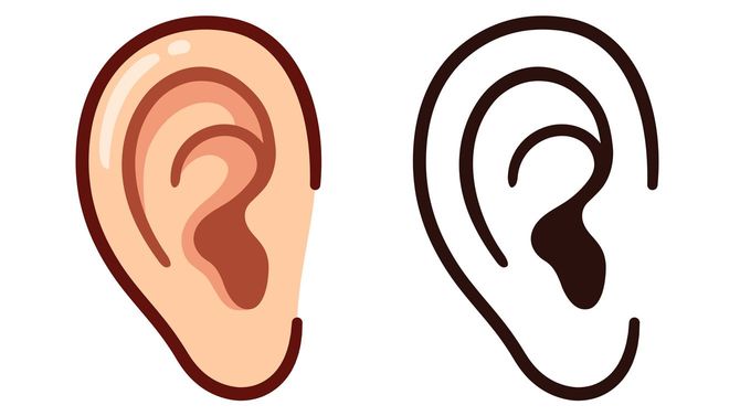 耳のイラスト