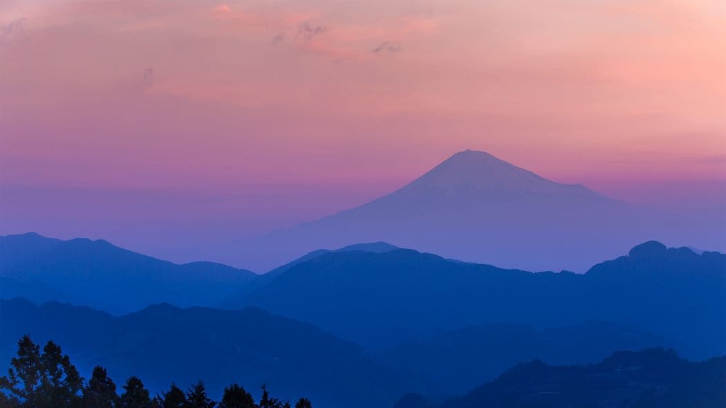 ｢うつくしきもの｣の描写には､千年を超える才能が読み取れる…私が｢源氏物語｣より｢枕草子｣を勧める理由 その才能に紫式部は激しく嫉妬した