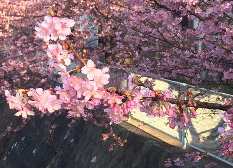 達人が選ぶ日本一の名所