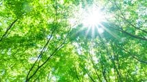 現役医師｢恐怖を煽るテレビを消して､私たちは外に出よう｣