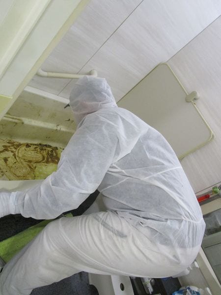 配水管に臭いがついてしまうので、シャワーで洗い流すことはできない。