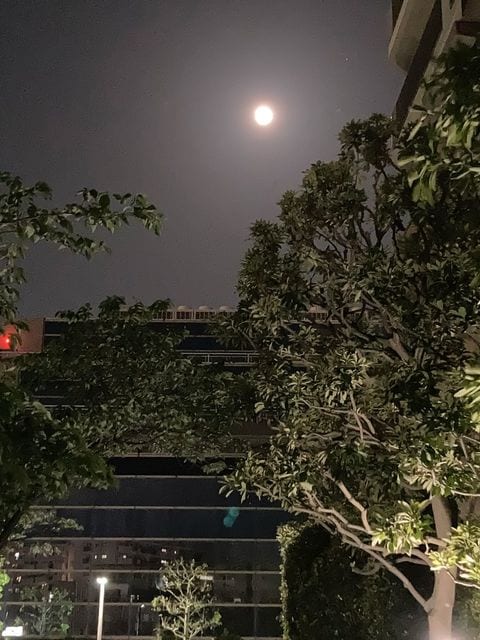 スマホで撮影した満月