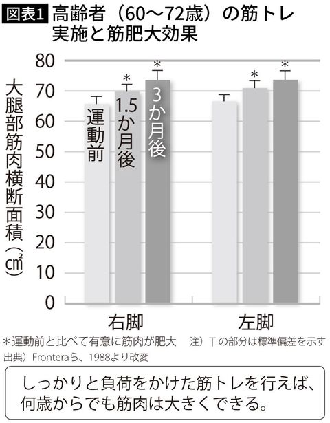 高齢者(60~72歳)の筋トレ 実施と筋肥大効果