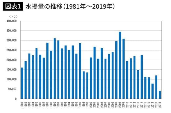 水揚量の推移（1981年～2019年）