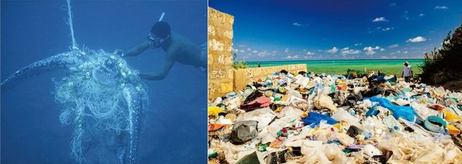 （左）魚網が絡まって溺死したオサガメ。©Michel Gunther（右）島に流れ着いた大量のプラスチックゴミ。豊かな自然との対比が痛々しい。©GregArmfield