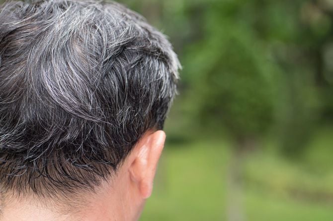 グレーヘアの男性の後頭部