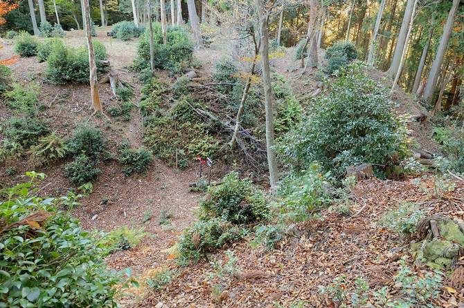 足を滑らせると転げ落ちそうな大堀切