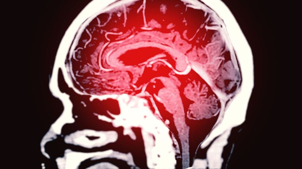 一目惚れした妻は半身麻痺でもやっぱり可愛い・豪邸も高級車も必要ない､人生後半で手に入れるべきもの・｢ゴミ屋敷｣でも｢重い荷物｣でもない､引っ越しのプロが困る"現場のお荷物" 編集者が選ぶ今週の3本