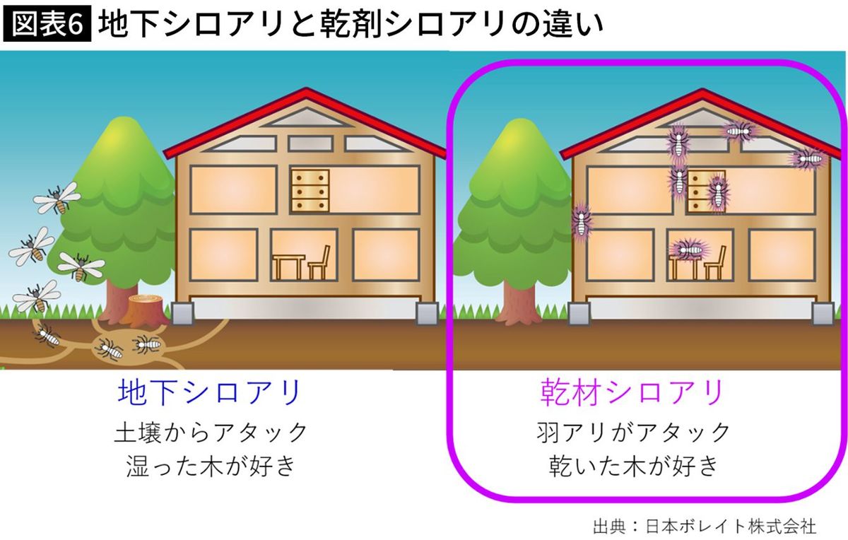 【図表】地下シロアリと乾剤シロアリの違い