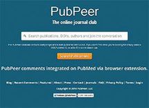 論文検証サイト　－ネットの不正はネットで暴く