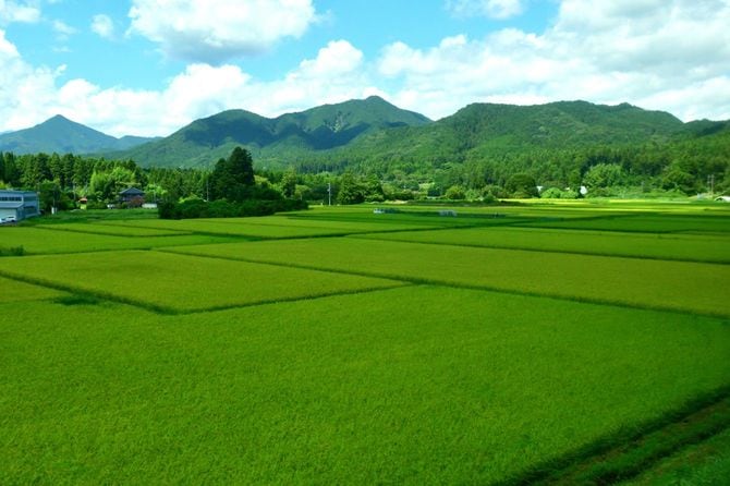 田園風景