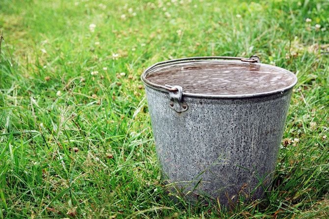 草むらにある泥水でいっぱいの金属バケツ