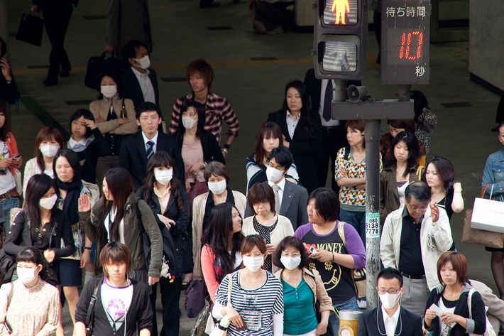 ※写真はイメージです