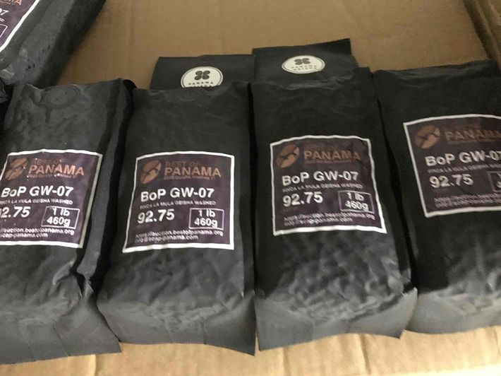 コーヒーオークションで落札した豆の一部